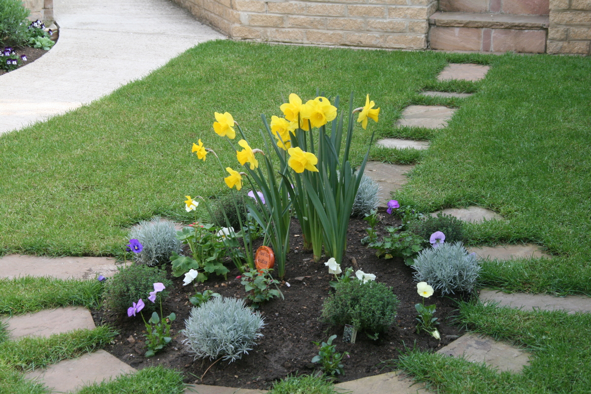 Garden 4